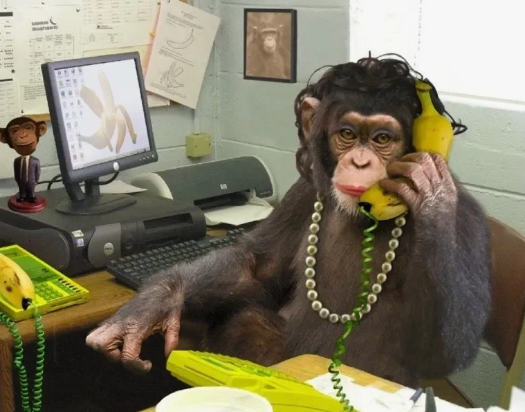 Xem ngay monkey brain meme để thấy những biểu cảm cực kỳ hài hước